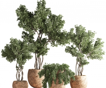 Modern Ground Green Plant Potted Plants-ID:322269926