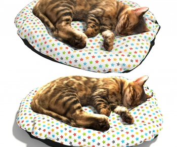 Modern Animal Cat-ID:374577057