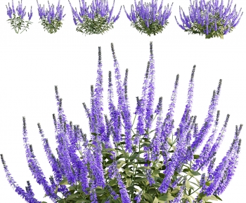 Modern Flowers And Grass-ID:970385076