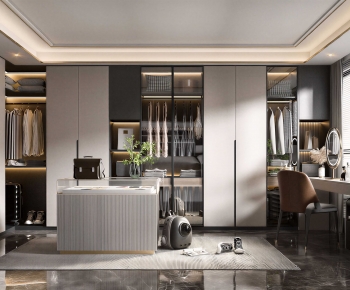 Modern Clothes Storage Area-ID:263443959