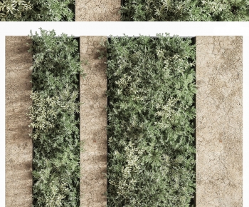 Modern Plant Wall-ID:797816992