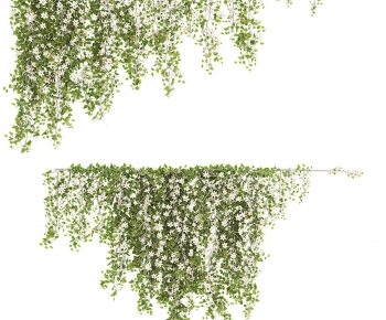 Modern Vine-ID:547857051