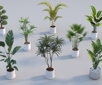 Modern Ground Green Plant Potted Plants-ID:405136117