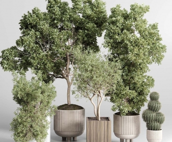 Modern Ground Green Plant Potted Plants-ID:695959095