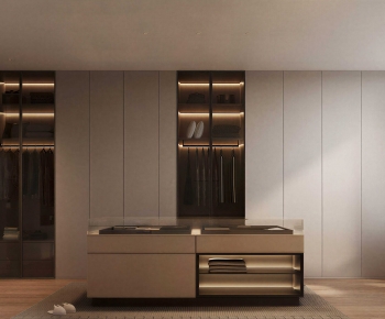 Modern Clothes Storage Area-ID:101192007