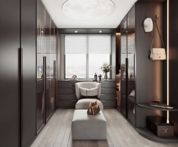 Modern Clothes Storage Area-ID:216195114