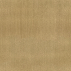 ModernBrushed Polishing