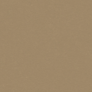 ModernBrushed Polishing