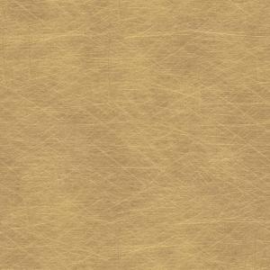 ModernBrushed Polishing