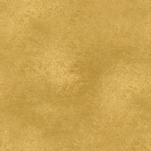 ModernBrushed Polishing