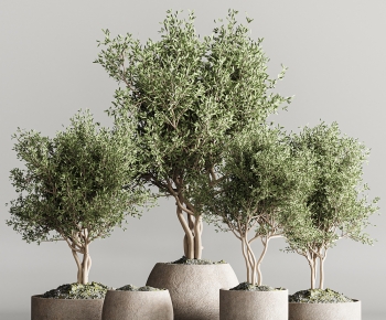 Modern Ground Green Plant Potted Plants-ID:183137898