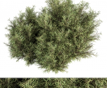 Modern Shrubbery-ID:292639798