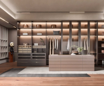 Modern Clothes Storage Area-ID:480878117