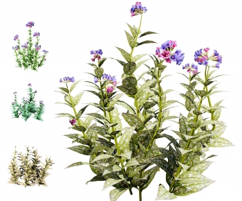 Modern Shrubbery-ID:504784113