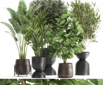Modern Potted Green Plant-ID:229969981