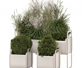 Modern Flower Bed, Flower Bowl, Flower Box-ID:264059077