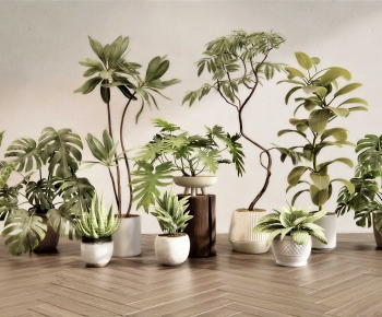 Modern Ground Green Plant Potted Plants-ID:570364004