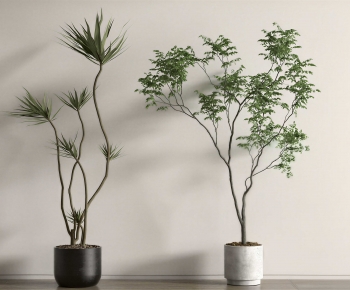 Modern Ground Green Plant Potted Plants-ID:176536087