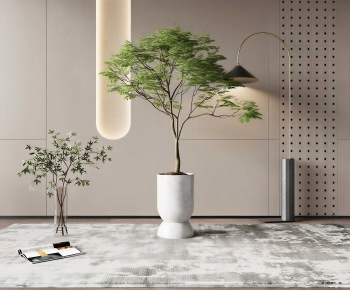 Modern Ground Green Plant Potted Plants-ID:551708942