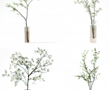 Modern Aquatic Green Plant-ID:634382965