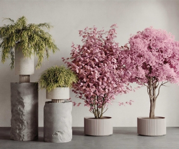 Modern Ground Green Plant Potted Plants-ID:570929141