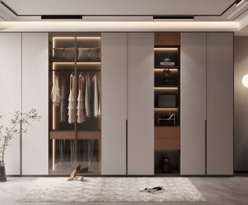 Modern Clothes Storage Area-ID:193037995