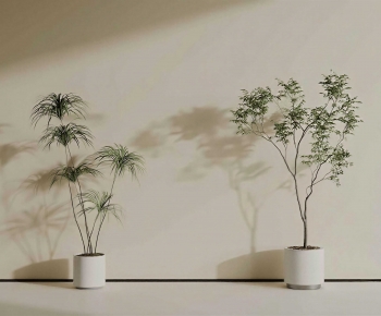 Modern Ground Green Plant Potted Plants-ID:820166116