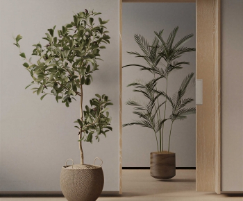 Modern Ground Green Plant Potted Plants-ID:442614087