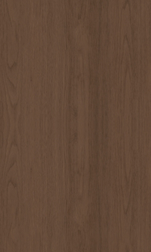 ModernWood Texture
