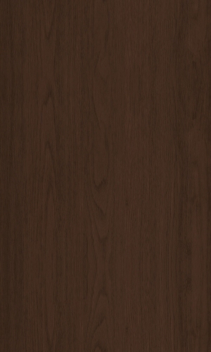 ModernWood Texture