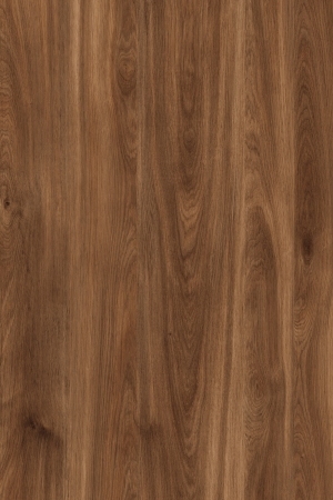 ModernWood Texture