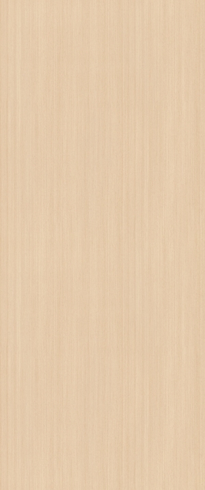 ModernWood Texture