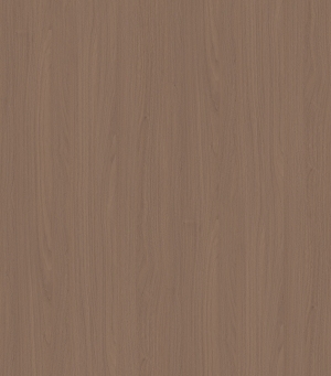 ModernWood Texture