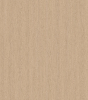 ModernWood Texture