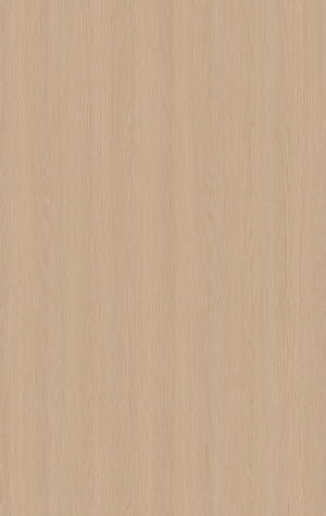 ModernWood Texture