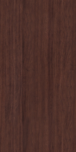 ModernWood Texture