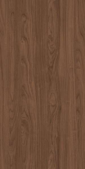 ModernWood Texture