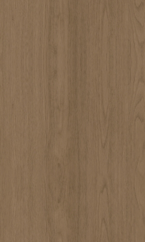 ModernWood Texture