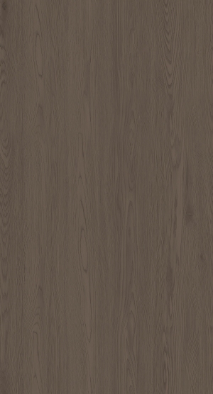 ModernWood Texture