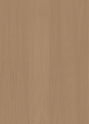 ModernWood Texture