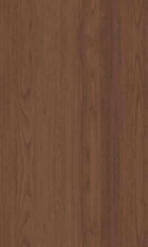 ModernWood Texture