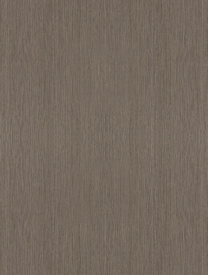 ModernWood Texture