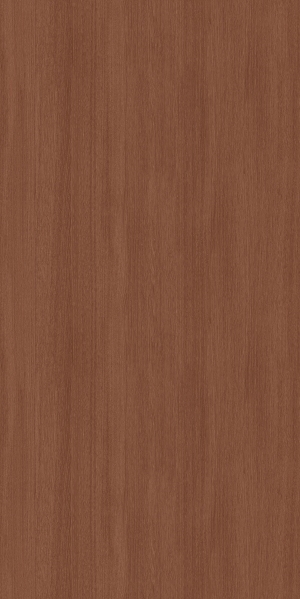 ModernWood Texture
