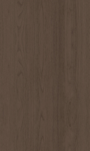 ModernWood Texture
