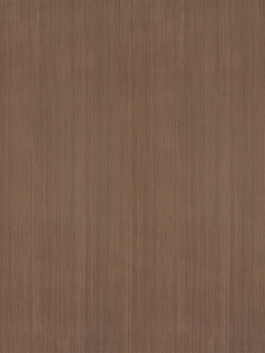 ModernWood Texture