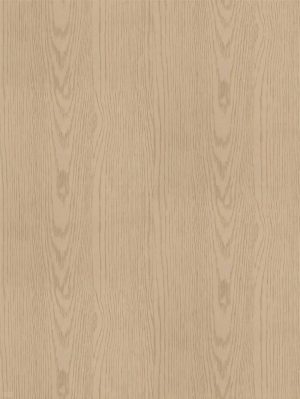 ModernWood Texture