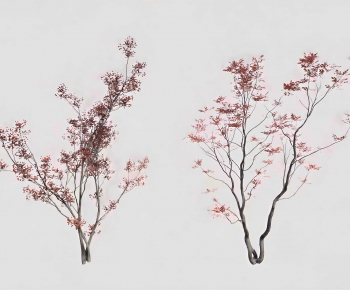 Modern Tree-ID:424638995