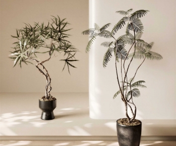 Wabi-sabi Style Ground Green Plant Potted Plants-ID:584477909