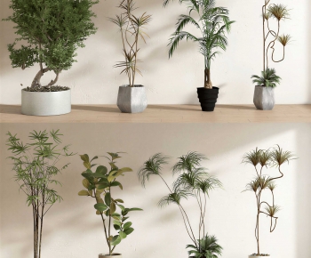 Modern Ground Green Plant Potted Plants-ID:388001927