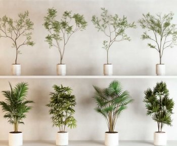 Modern Ground Green Plant Potted Plants-ID:984730758